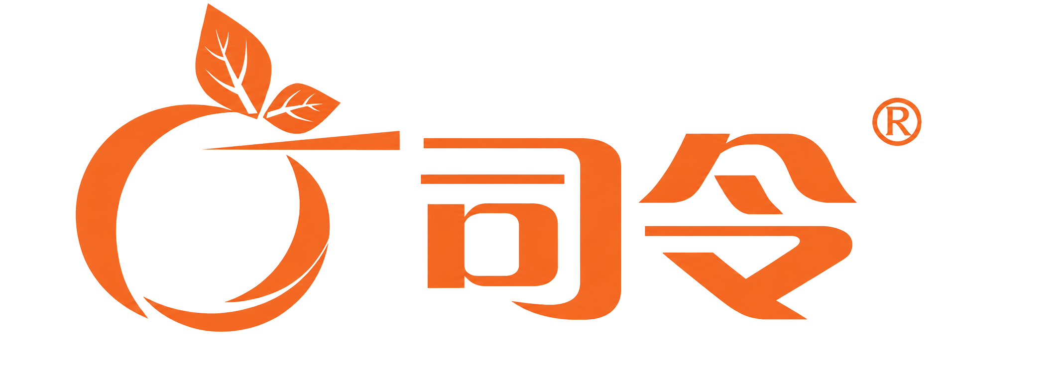丁司令