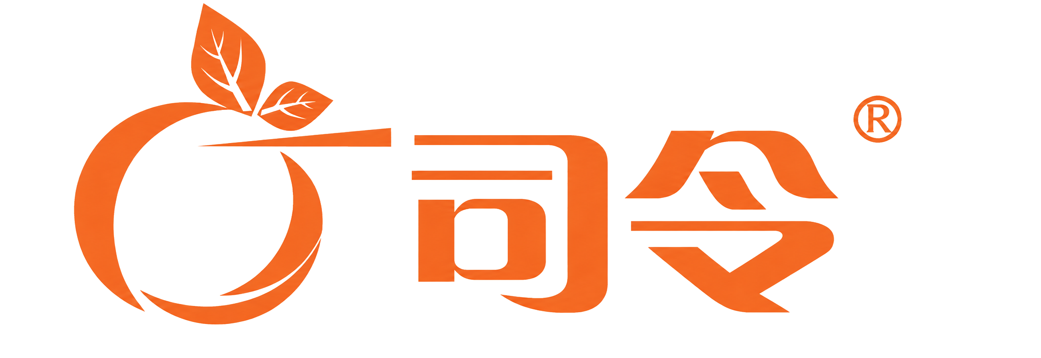 丁司令